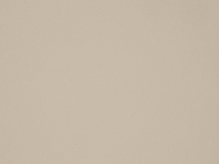 БСП Arpa 3050*1300*0,6 мм R-0225PF темно-кремовый(матовый)