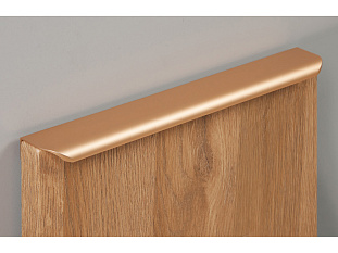 Ручка мебельная, торцевая MONTE RT110SG.1/224/300, 224 / 300 мм, золото, Boyard