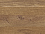 Столешница 4100х920х38 Древесина винтаж натуральная H197 ST10 постформинг R3 с двух сторон, Гр.3, Egger