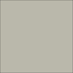Кромка ABS 1х23 мм Светлый латте 747 (NEW GREY), Arkopa