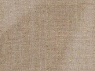 Кромка  Звезда кремовая – CREM STAR P245 EVOGLOSS  0,8х22 мм