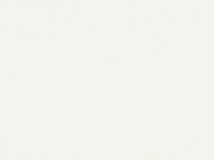 ЛДСП 2800х2070х16 Белый классический W960 SM гладкий, Гр.1, Egger