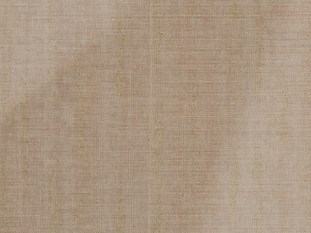 Кромка  Звезда кремовая – CREM STAR P245 EVOGLOSS  0,8х22 мм